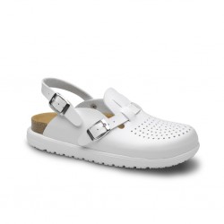 Zueco Feliz Caminar...